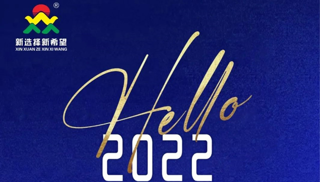 再见2021！你好2022