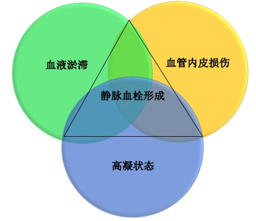 沉默杀手 VTE，如何进行抗凝治疗？三问搞懂