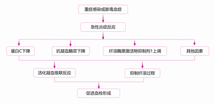 《COVID19合并VTE患者的流行病学特征及相关检查方法》