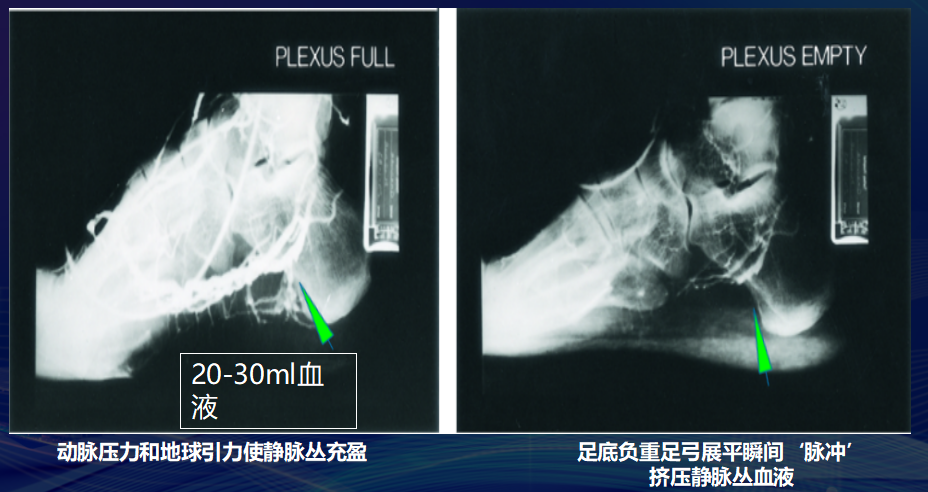 长途旅行 快乐相伴 健康相随