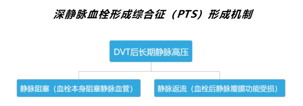 浅谈深静脉血栓后综合征（PTS）