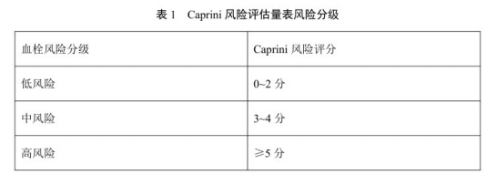 《团体标准——成人住院患者静脉血栓栓塞症风险评估技术》要点——中国研究型医院学会发布